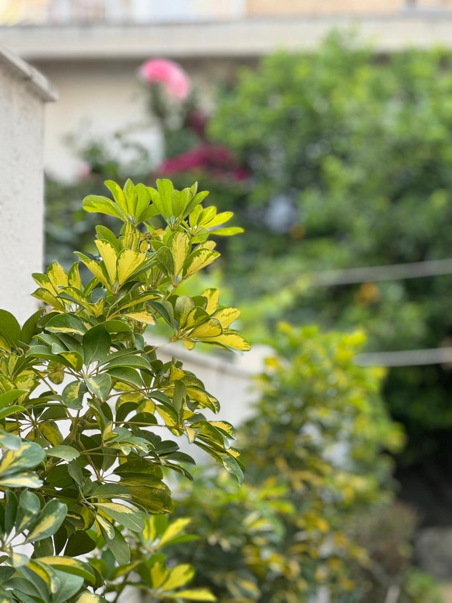 Villa μονοκατοικία «maizonette Passaggio G»